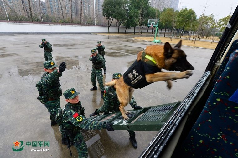 一把更比六把强！三国杀里竟然还有六合一的武器牌！ 